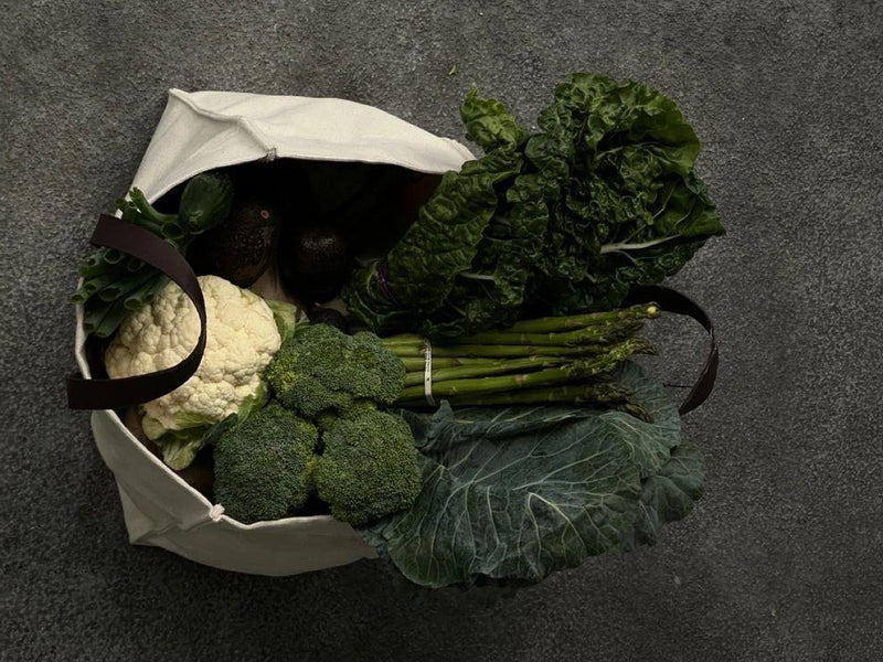 Ernährung & Supplements